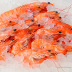Frozen seafood shrimp for sale