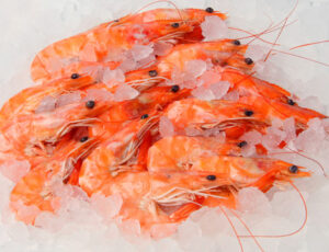 Frozen seafood shrimp for sale