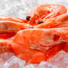 Where to buy frozen seafood shrimp