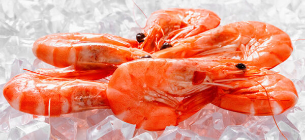 Where to buy frozen seafood shrimp