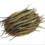 Buy Dried Sea Dragon Fish Online