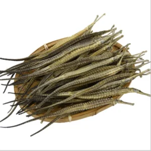 Buy Dried Sea Dragon Fish Online