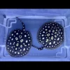 Potamotrygon Leopoldi For Sale